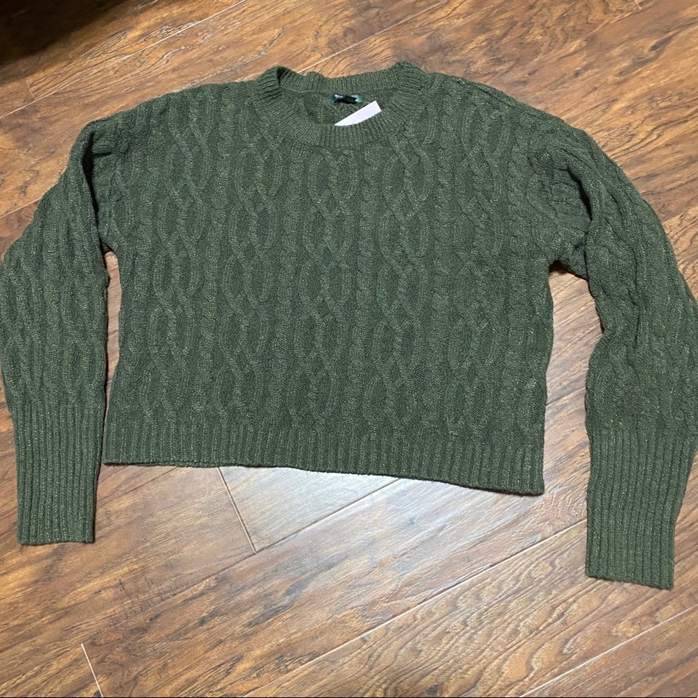 Wild Fable sweater